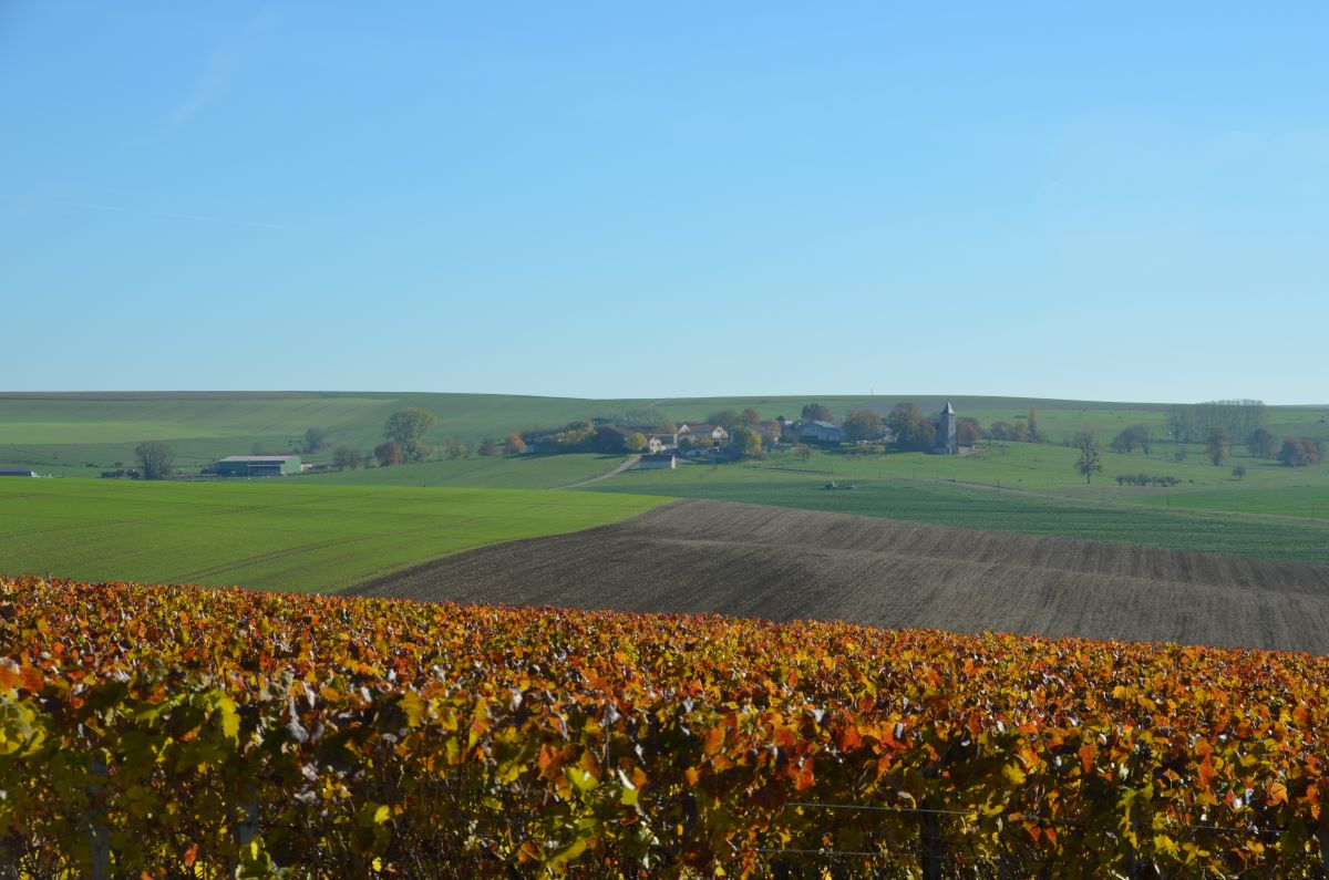 vue de Rizaucourt, 
                                     photo prise depuis les vignes